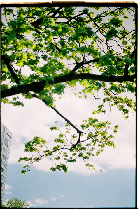2023 年 5 月. 尼基塔·杰米多夫