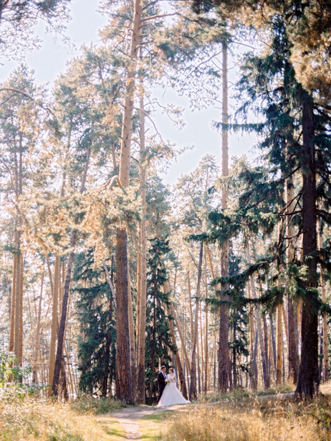 Denis 与 Tatyana. 尼基塔·杰米多夫
