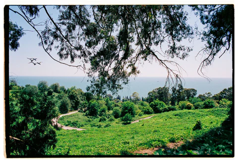 Abkhazia-2023. Никита Демидов