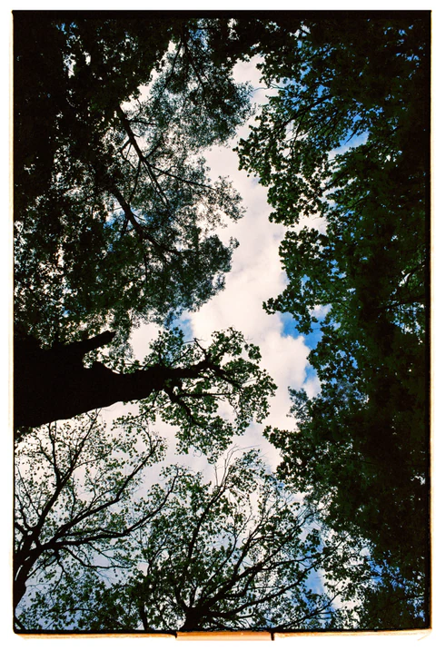 Great time with my family. Никита Демидов